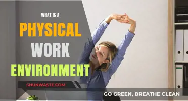 Understanding the Physical Work Environment: Key Elements and Impact on Productivity