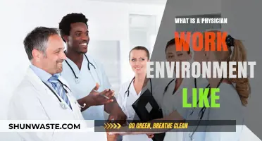 Exploring the Daily Life and Work Environment of Physicians