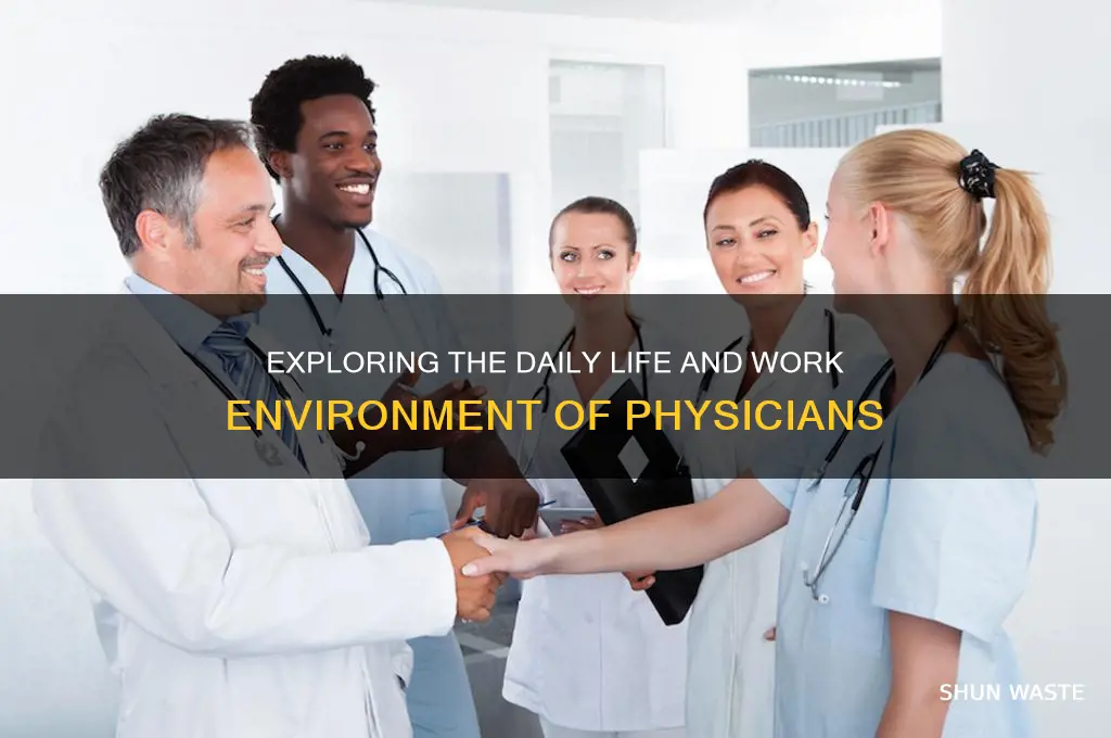 what is a physician work environment like
