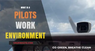 Exploring the Unique Work Environment of Pilots: Cockpit to Skies