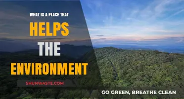 Eco-Friendly Havens: Discover Places That Nurture Our Planet's Health