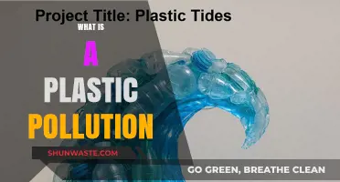 Plastic Pollution: A Global Crisis