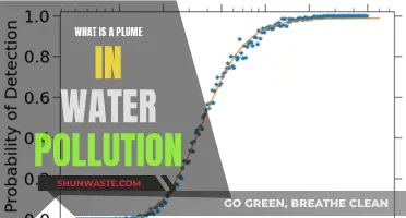 Unveiling the Mystery: What's a Plume in Water Pollution?