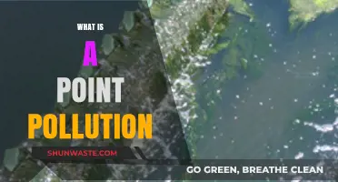 Understanding Point Pollution: A Precise Environmental Concern