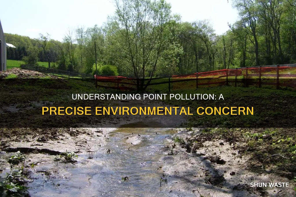 what is a point pollution