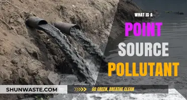 Understanding Point Source Pollutants: What, Where, and Why?