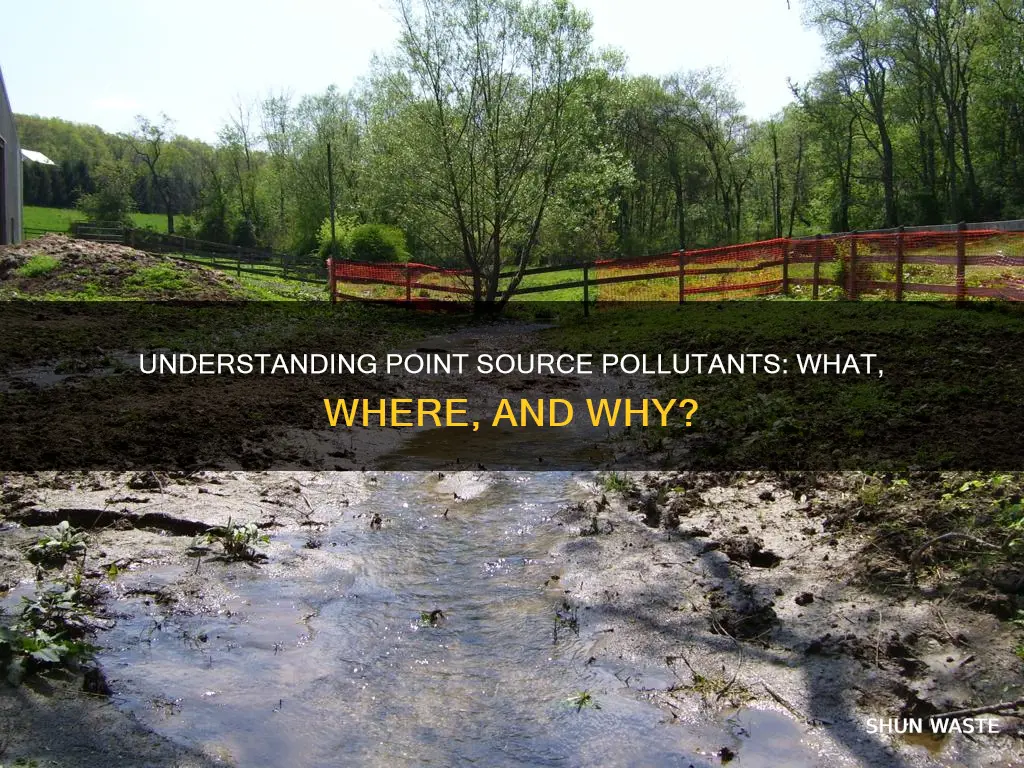 what is a point source pollutant