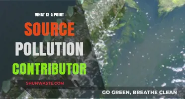 Understanding Point Source Pollution: A Single Contributor