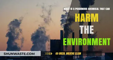 Toxic Threats: How Poisonous Chemicals Endanger Our Environment