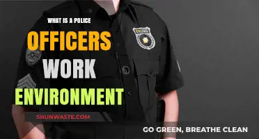 Exploring the Diverse Work Environment of Police Officers