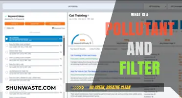 Understanding Pollutants: Filtering for Better Health