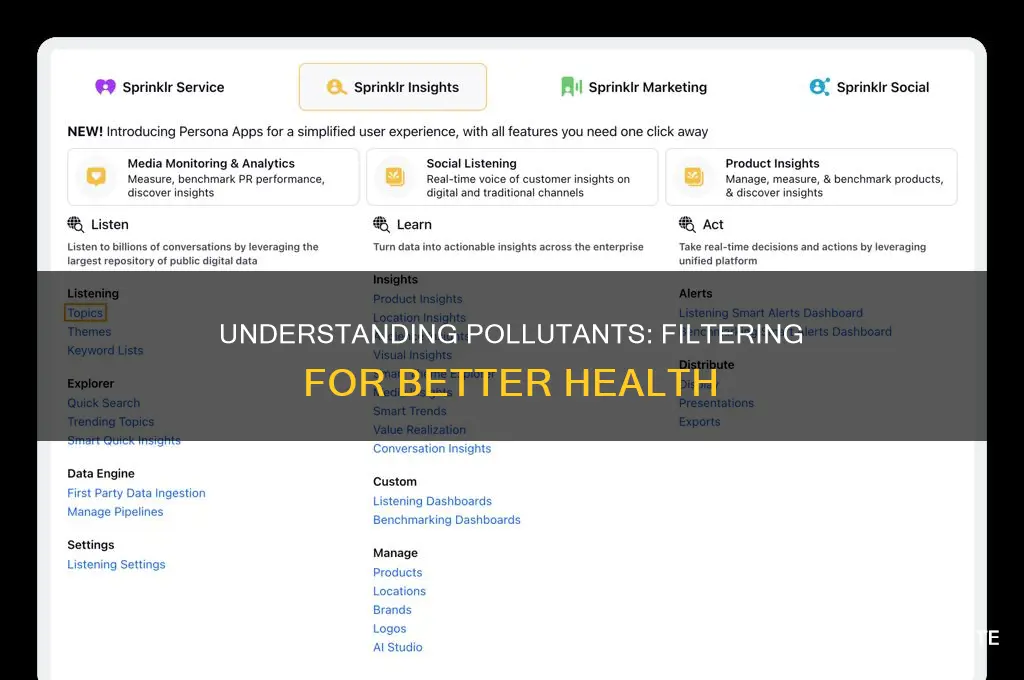what is a pollutant and filter