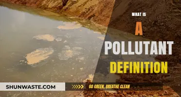 Air Pollutants: Understanding the Definition and Impact