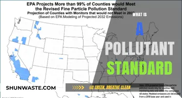Understanding Pollutant Standards: Setting Limits for a Healthy Environment