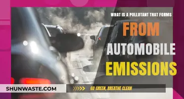 Automobile Emissions: Understanding the Pollutants We Breathe