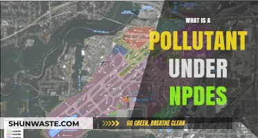 Understanding Pollutants: NPES Definition and Scope
