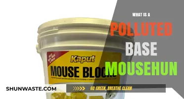 The Polluted Base Mystery in MouseHunt