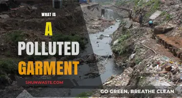 The Dirty Truth: Polluted Garments