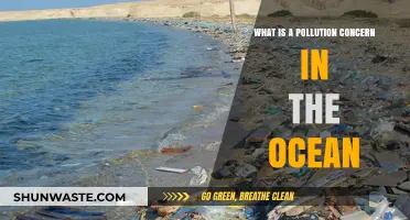 Ocean Pollution: A Growing Concern for the Planet