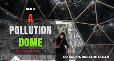 Understanding the Impact of Pollution Domes