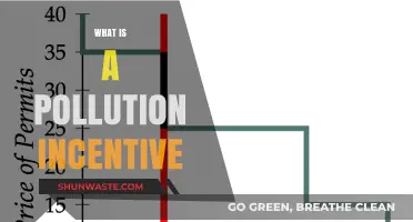 Pollution Incentives: Rewards for a Cleaner World