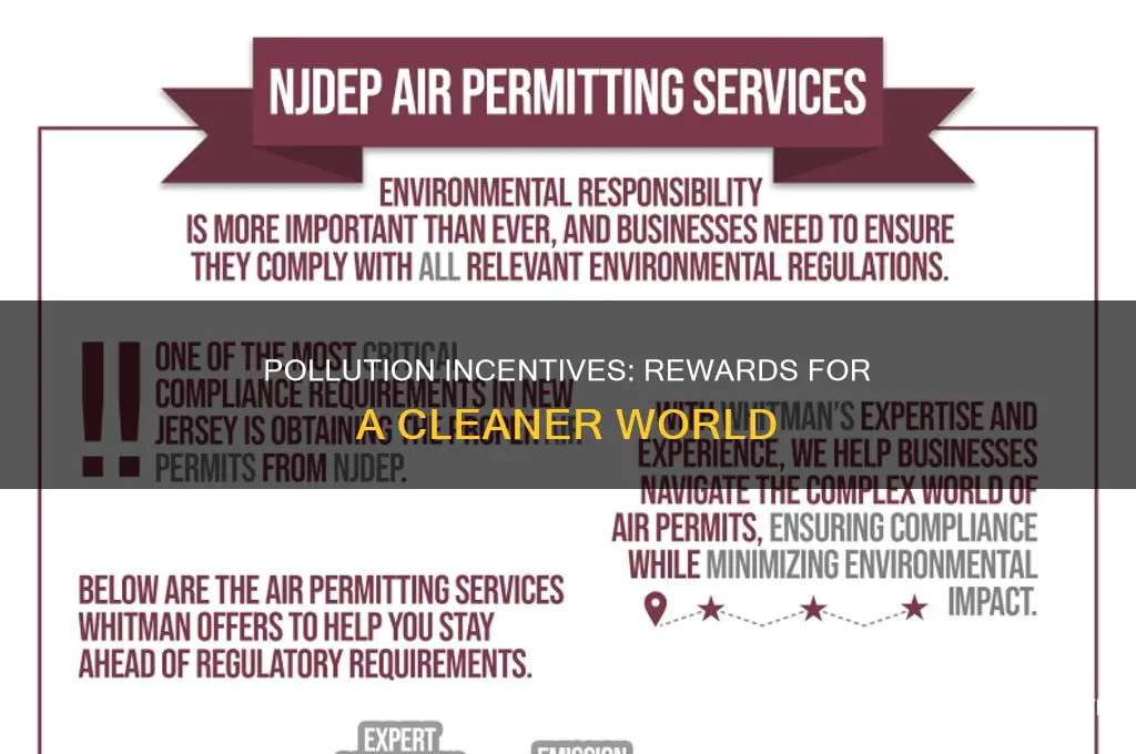 what is a pollution incentive