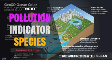 Pollution Indicator Species: Nature's Warning Signs