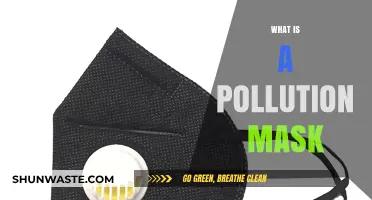 Protecting Yourself: Pollution Masks Explained