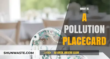 Placecards: Pollution's Personal Impact