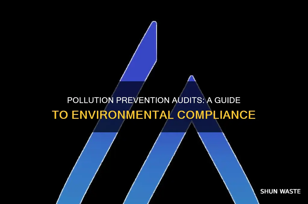 what is a pollution prevention audit