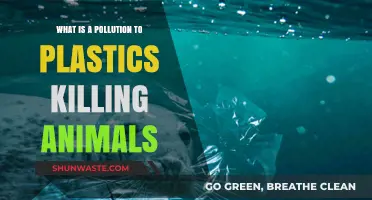 Plastic Pollution: A Lethal Threat to Animals