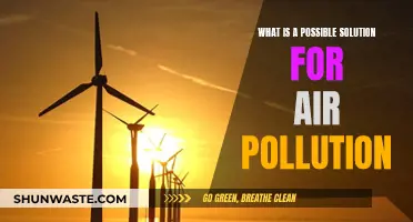 Solving Air Pollution: A Practical Guide to Cleaner Air