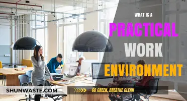 Creating a Practical Work Environment: Strategies for Productivity and Efficiency