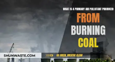 Coal Combustion: Primary Air Pollutants and Their Impact