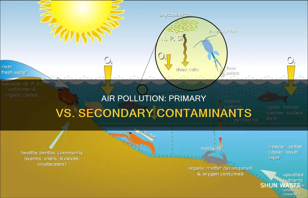 what is a primary and secondary air pollutant