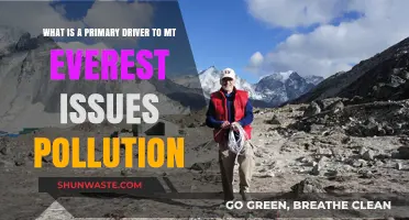 Everest's Pollution Crisis: Human Impact on Nature's Majesty