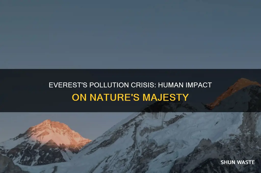 what is a primary driver to mt everest issues pollution