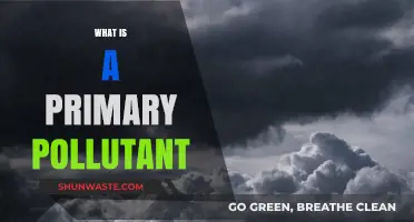 Air Quality: Primary Pollutants Explained