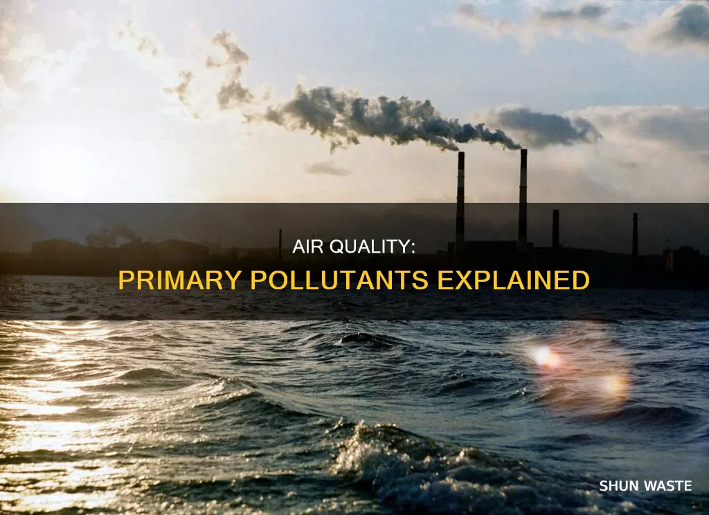 what is a primary pollutant