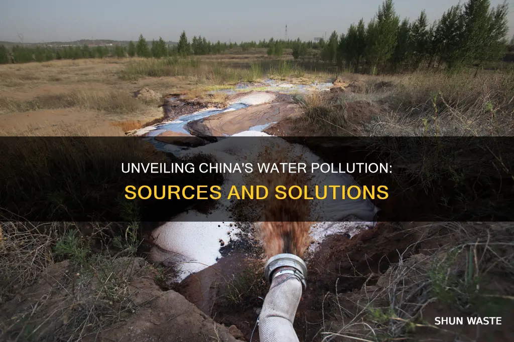 what is a primary source for water pollution in china