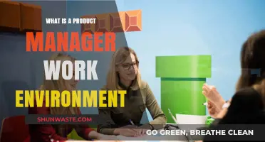 Exploring the Dynamic Work Environment of a Product Manager