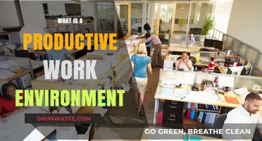 Creating a Productive Work Environment: Strategies for Success and Efficiency