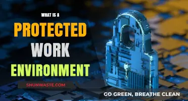 Creating a Protected Work Environment: Safety, Respect, and Legal Compliance