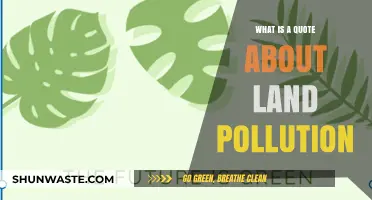 Land Pollution: A Quoted Insight