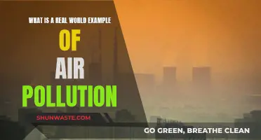 Air Pollution's Real-World Impact