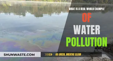 Dirty Waters: A Real-World Water Pollution Story