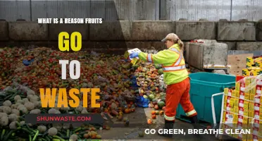 Why Do Fruits Go to Waste? Exploring Causes and Solutions