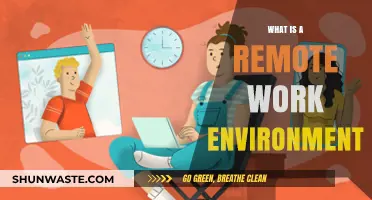 Understanding the Remote Work Environment: Benefits, Challenges, and Best Practices