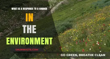 Adapting to Change: Understanding Environmental Responses and Their Impact