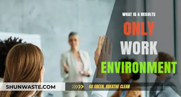 Results-Only Work Environment: Redefining Productivity and Flexibility in Modern Workplaces